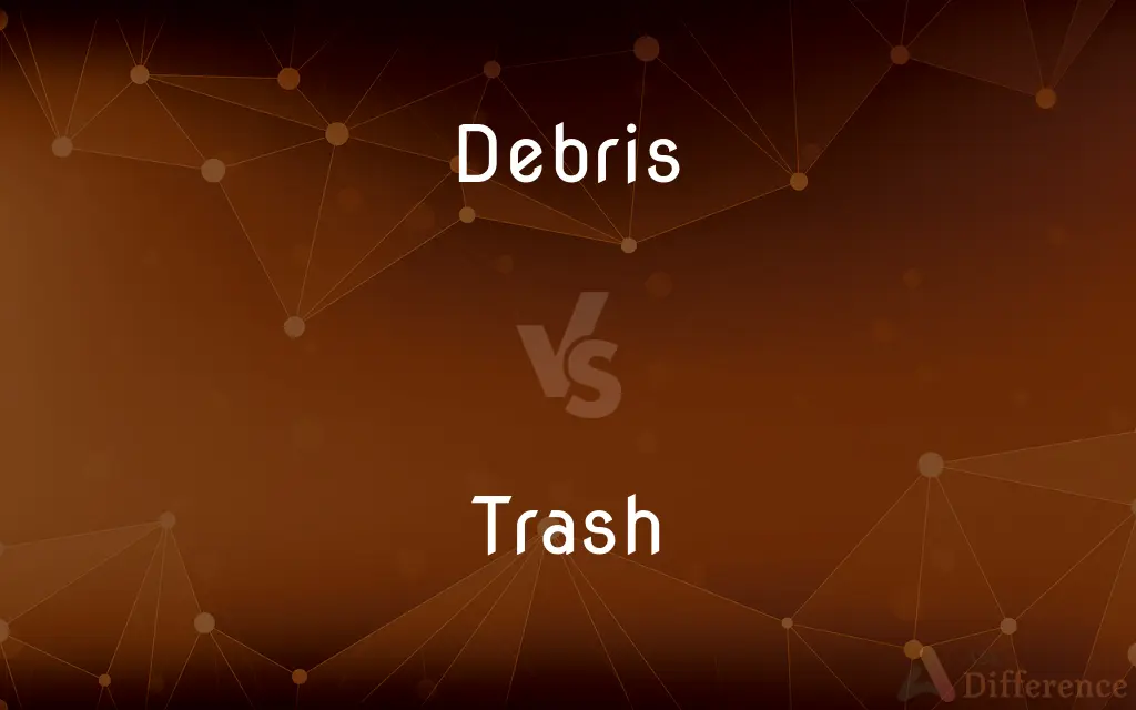 Debris vs. Trash — What's the Difference?