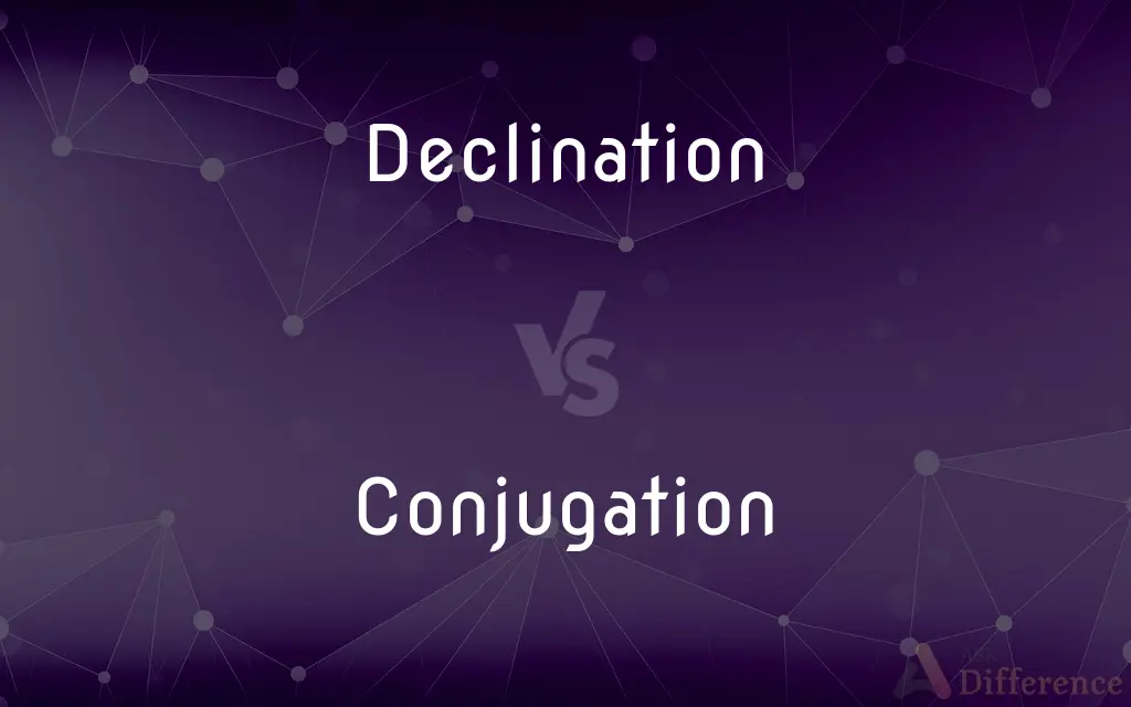 Declination vs. Conjugation — What's the Difference?
