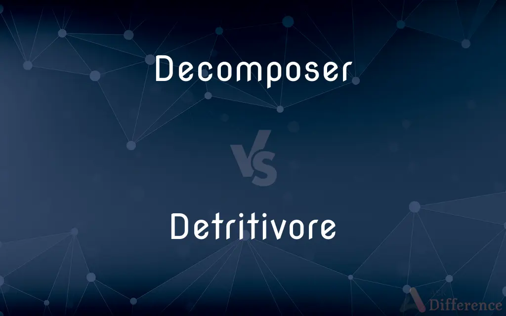 Decomposer vs. Detritivore — What's the Difference?