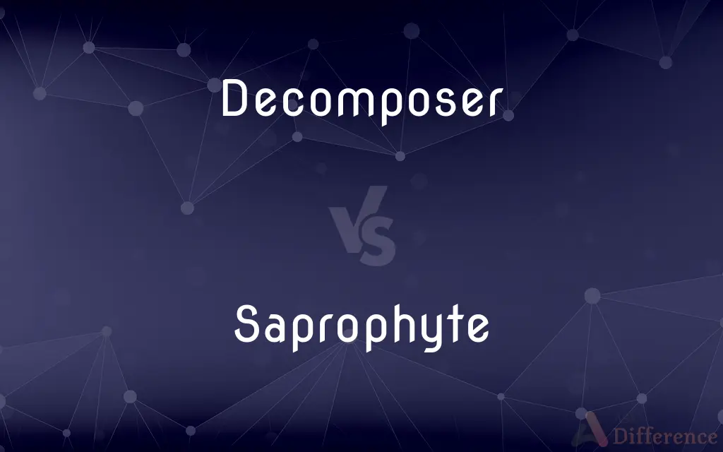 Decomposer vs. Saprophyte — What's the Difference?