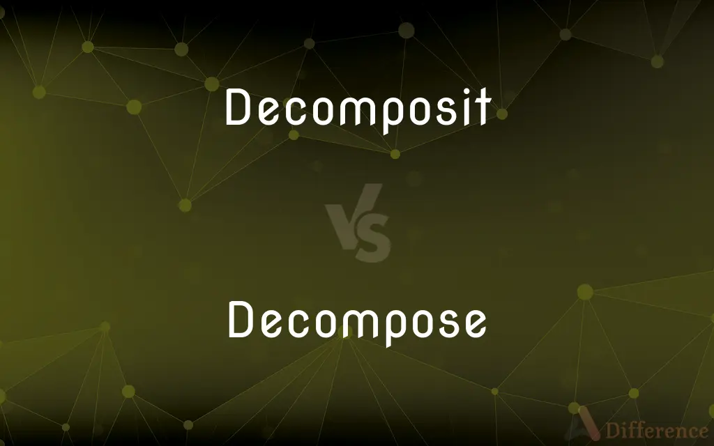 Decomposit vs. Decompose — Which is Correct Spelling?