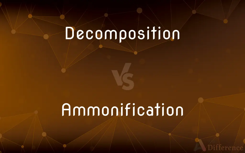 Decomposition vs. Ammonification — What's the Difference?
