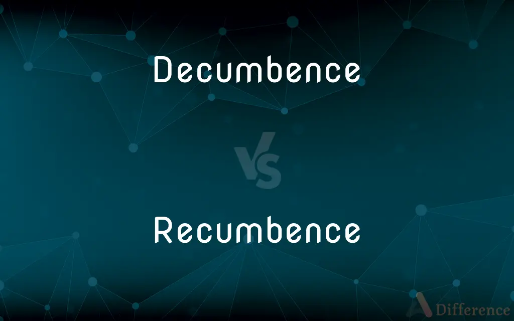 Decumbence vs. Recumbence — What's the Difference?