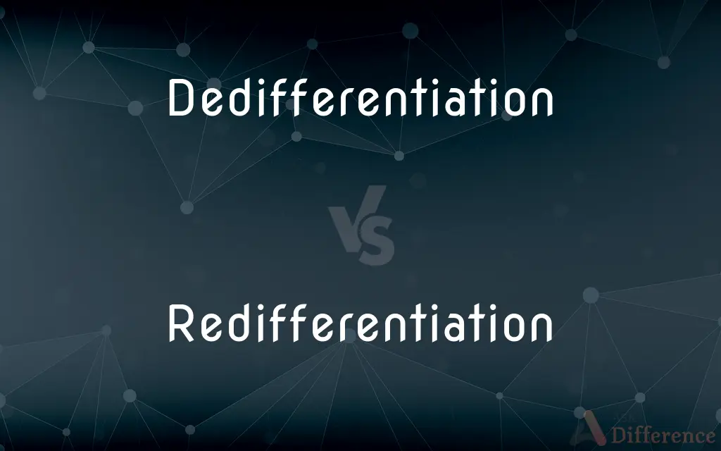 Dedifferentiation vs. Redifferentiation — What's the Difference?