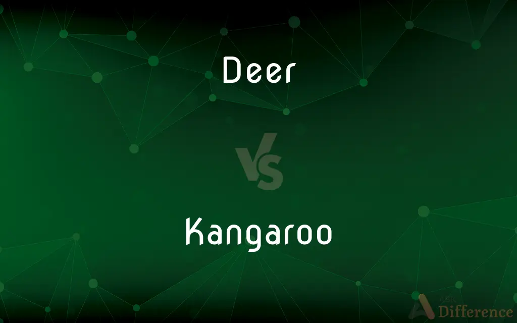 Deer vs. Kangaroo — What's the Difference?