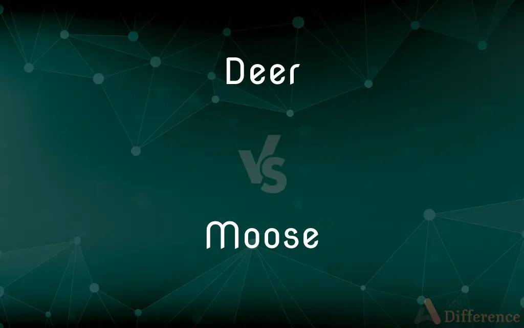 Deer vs. Moose — What's the Difference?