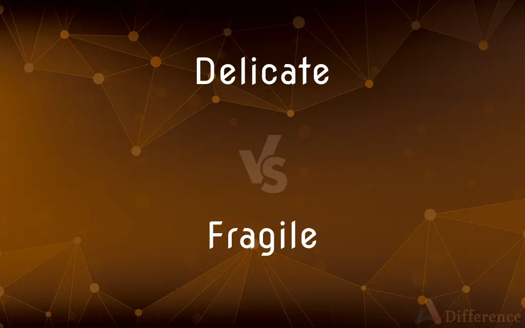 Delicate vs. Fragile — What's the Difference?