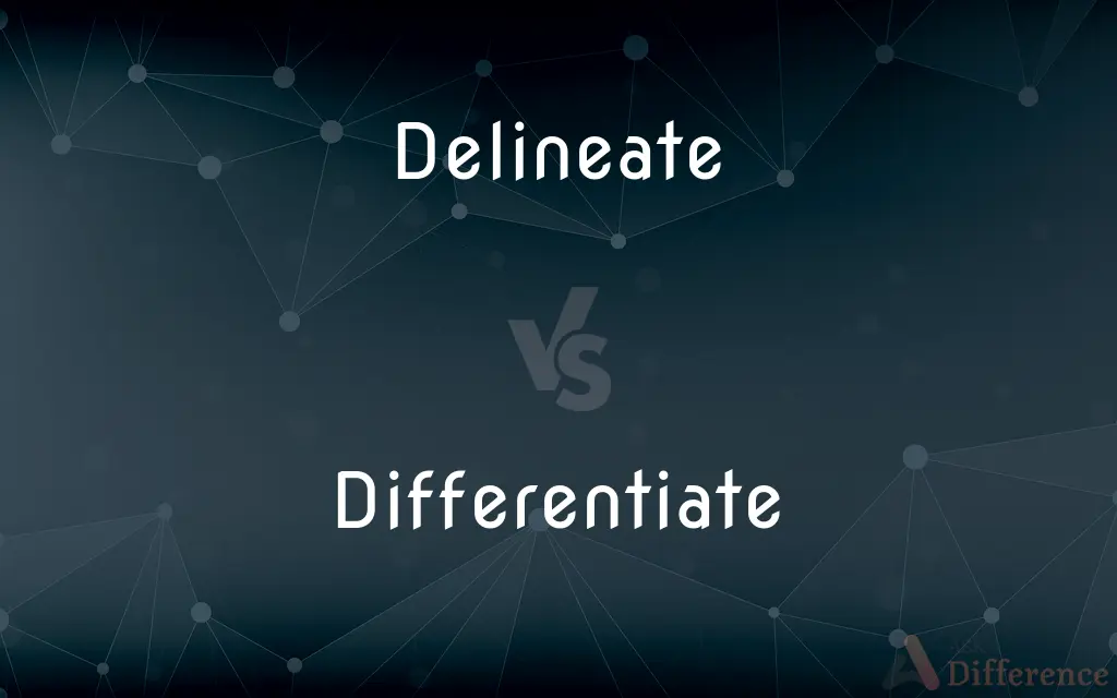 Delineate vs. Differentiate — What's the Difference?