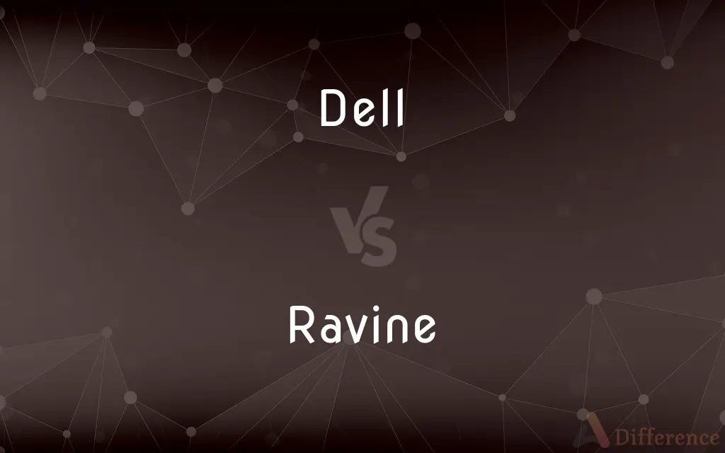 Dell vs. Ravine — What's the Difference?