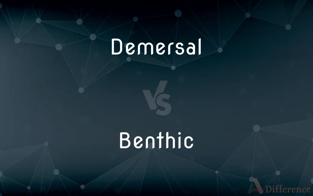 Demersal vs. Benthic — What's the Difference?