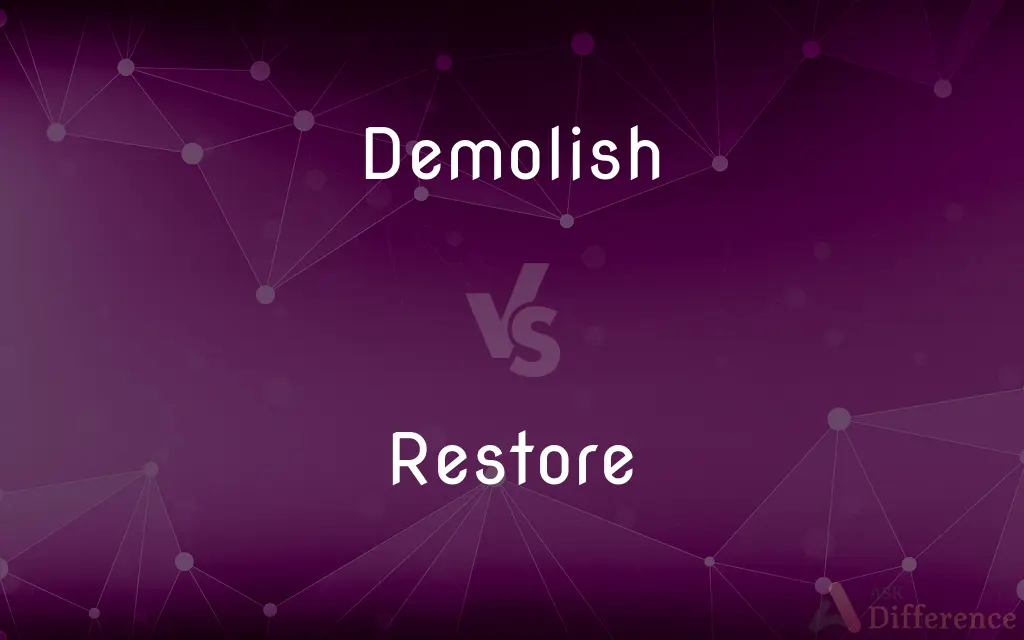 Demolish vs. Restore — What's the Difference?