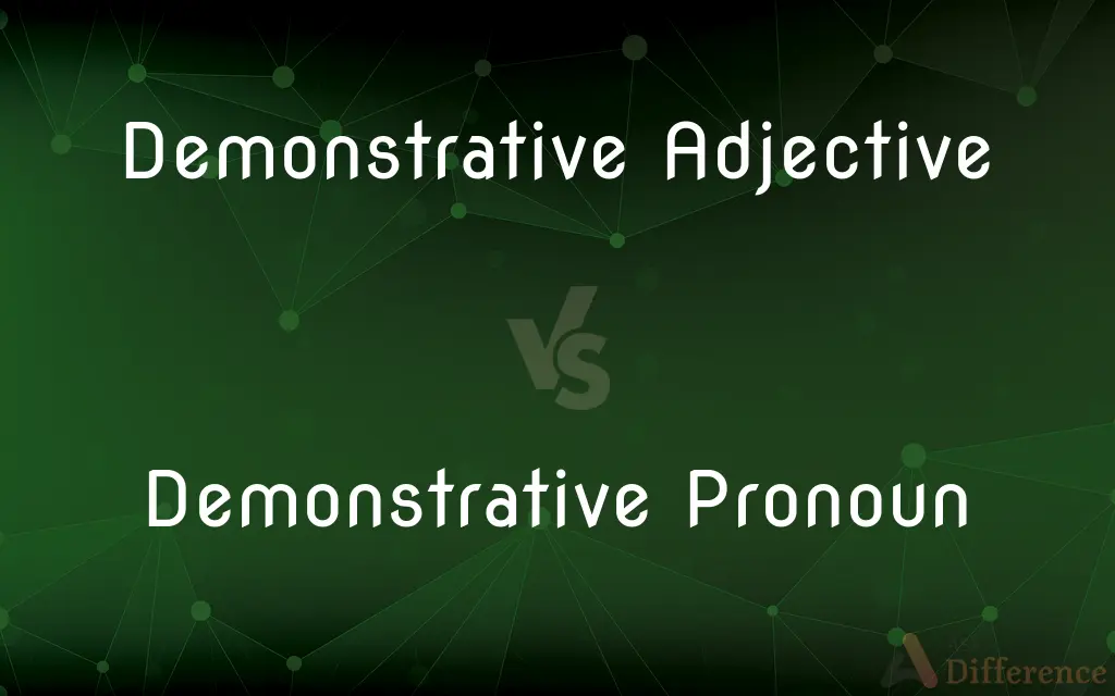 Demonstrative Adjective vs. Demonstrative Pronoun — What's the Difference?