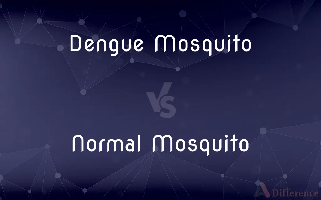 Dengue Mosquito vs. Normal Mosquito — What's the Difference?