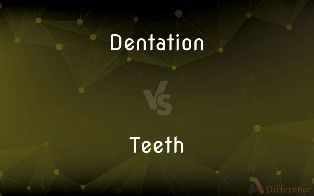Dentation vs. Teeth — What's the Difference?