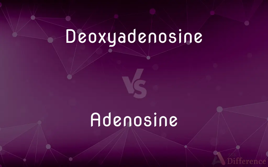 Deoxyadenosine vs. Adenosine — What's the Difference?