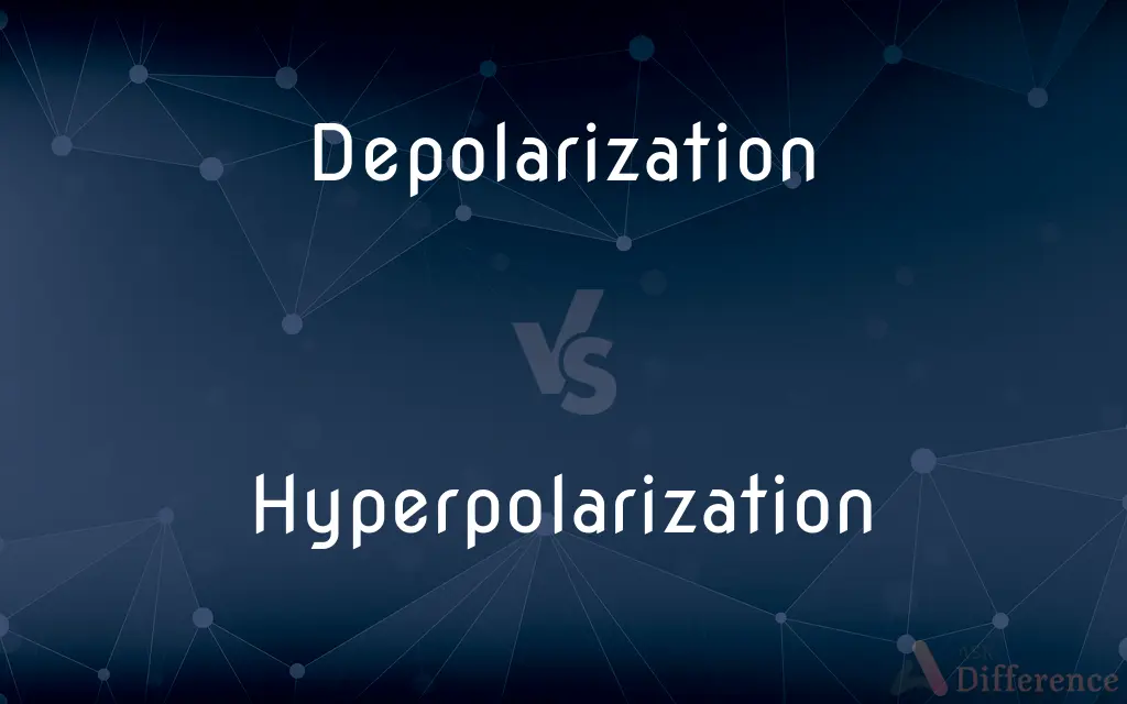 Depolarization vs. Hyperpolarization — What's the Difference?