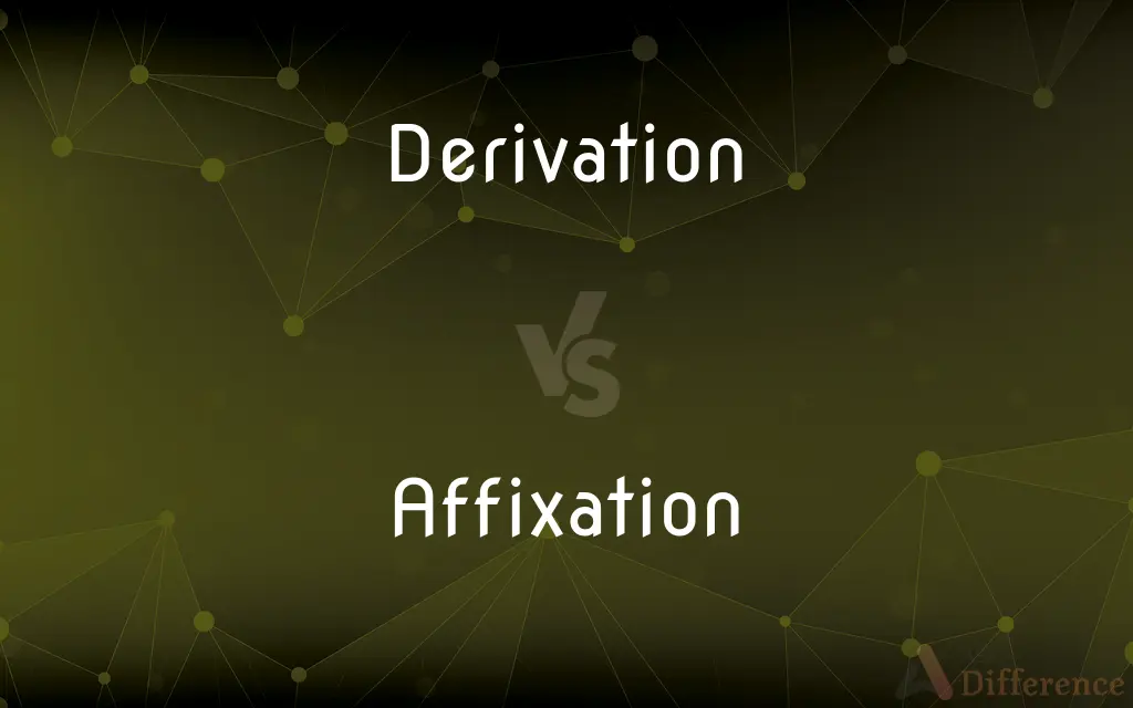 Derivation vs. Affixation — What's the Difference?