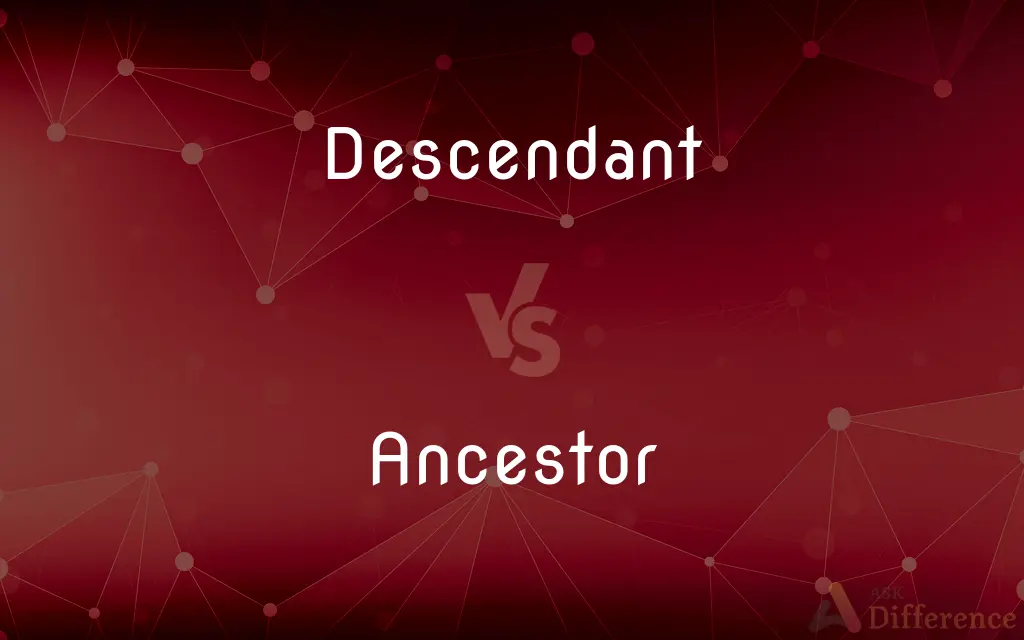 Descendant vs. Ancestor — What's the Difference?