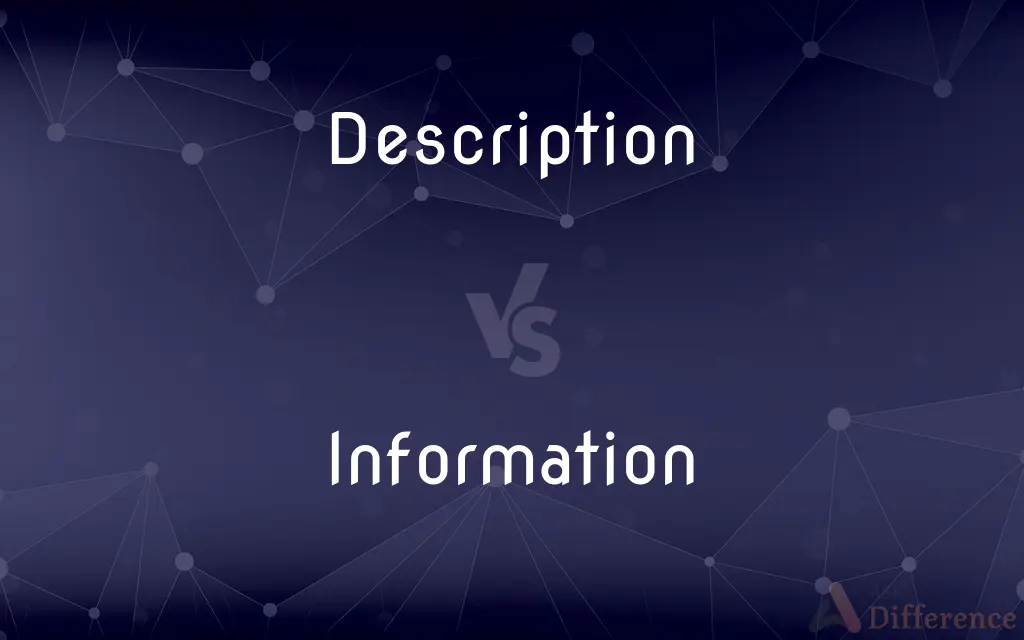 Description vs. Information — What's the Difference?