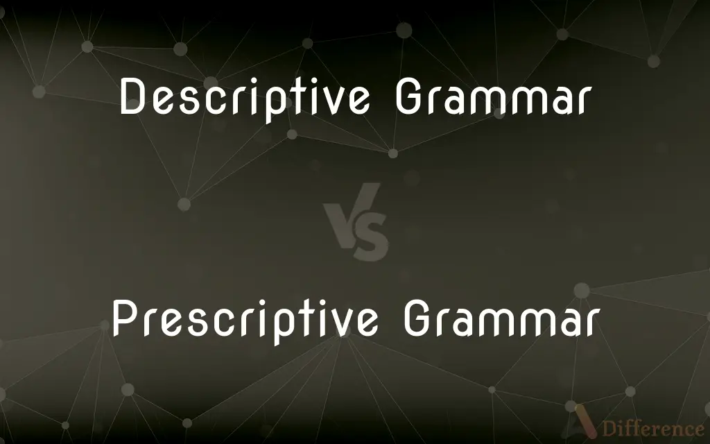 Descriptive Grammar vs. Prescriptive Grammar — What's the Difference?