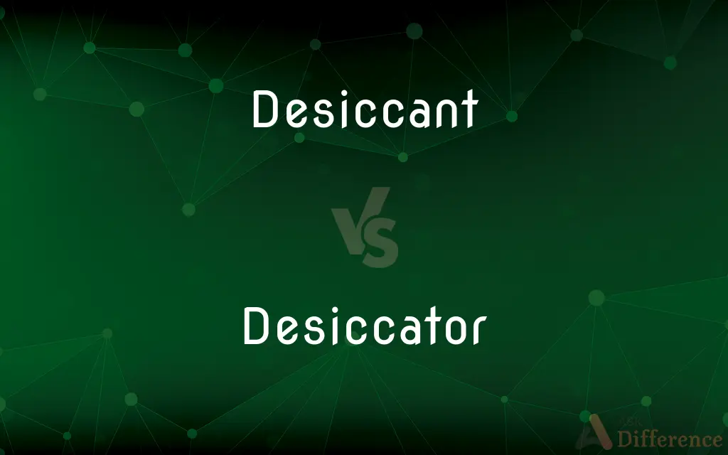 Desiccant vs. Desiccator — What's the Difference?
