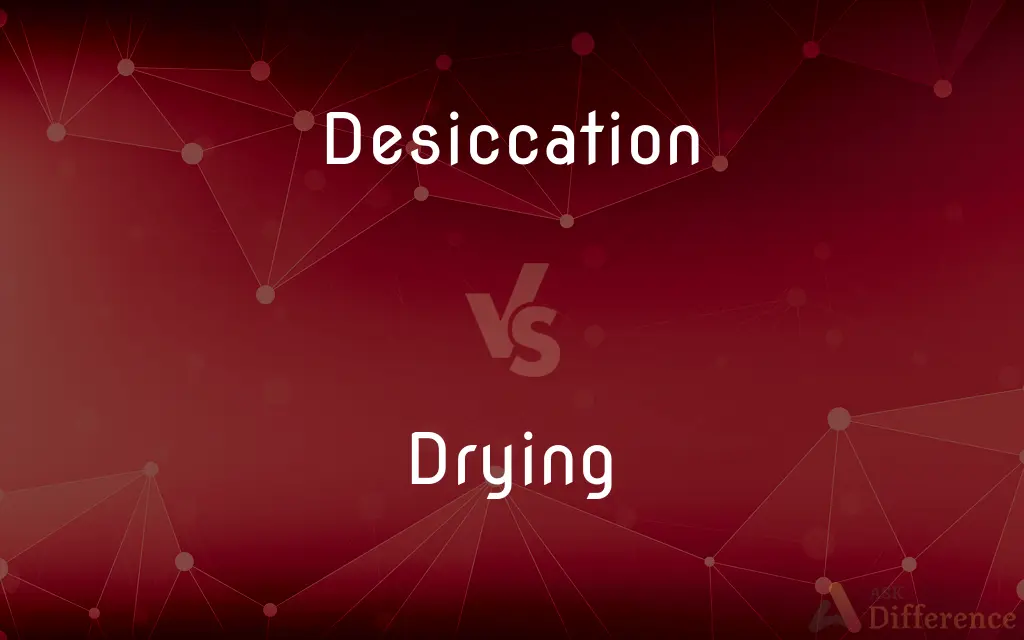 Desiccation vs. Drying — What's the Difference?