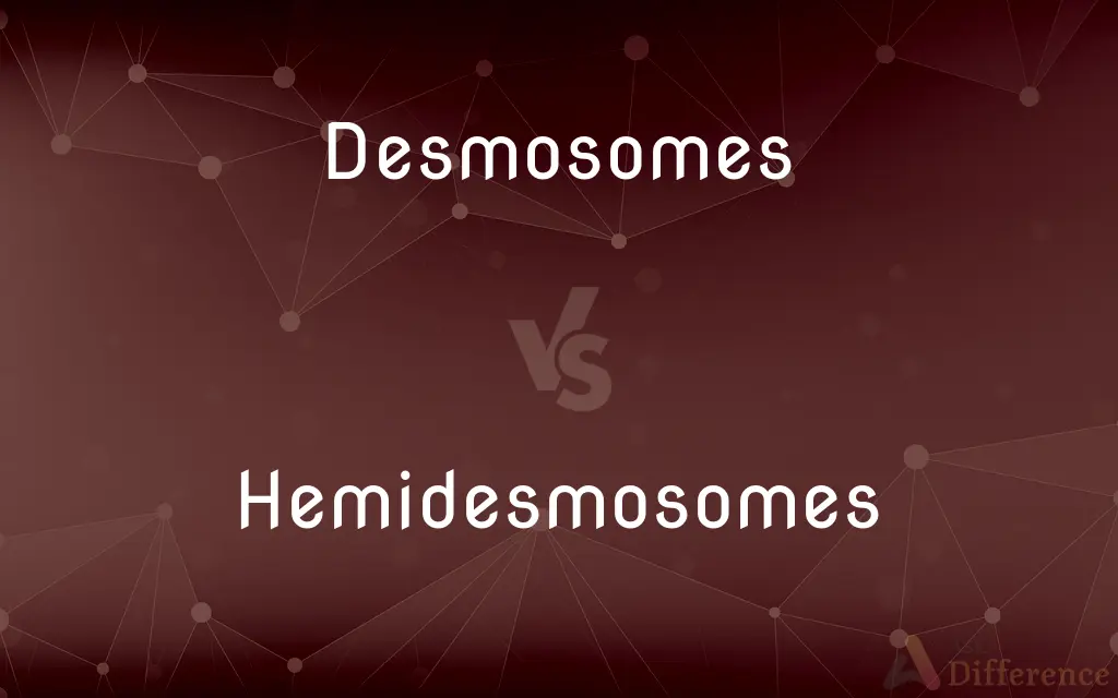 Desmosomes vs. Hemidesmosomes — What's the Difference?