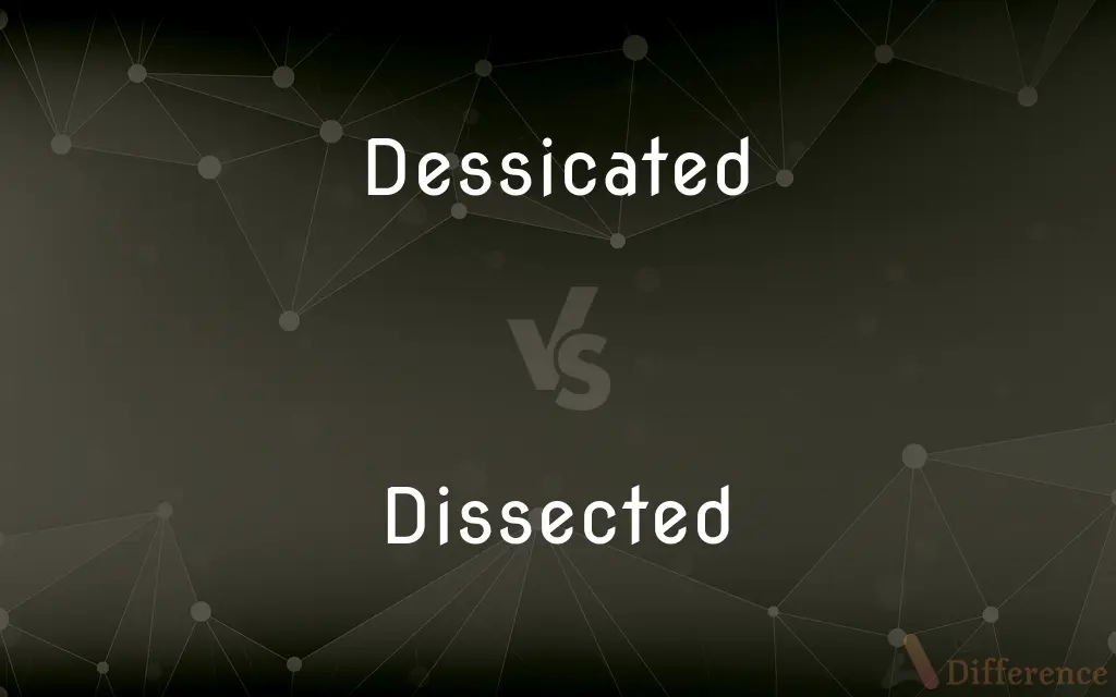 Dessicated vs. Dissected — Which is Correct Spelling?