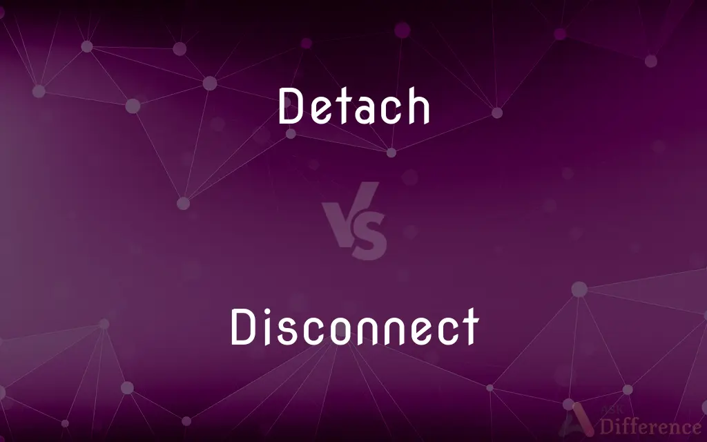 Detach vs. Disconnect — What's the Difference?