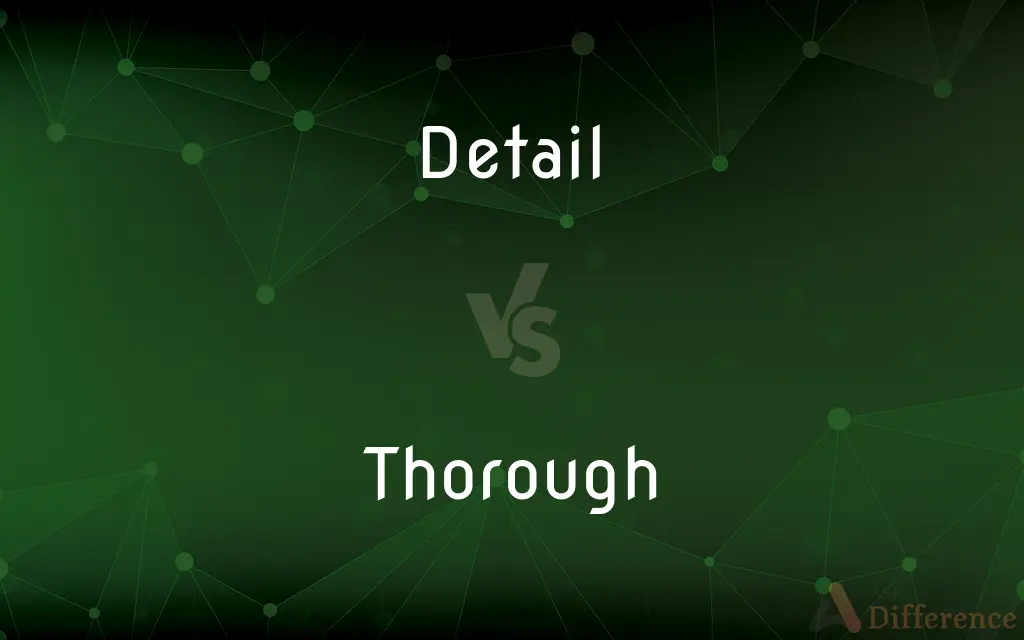 Detail vs. Thorough — What's the Difference?