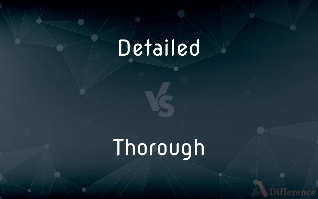 Detailed vs. Thorough — What's the Difference?