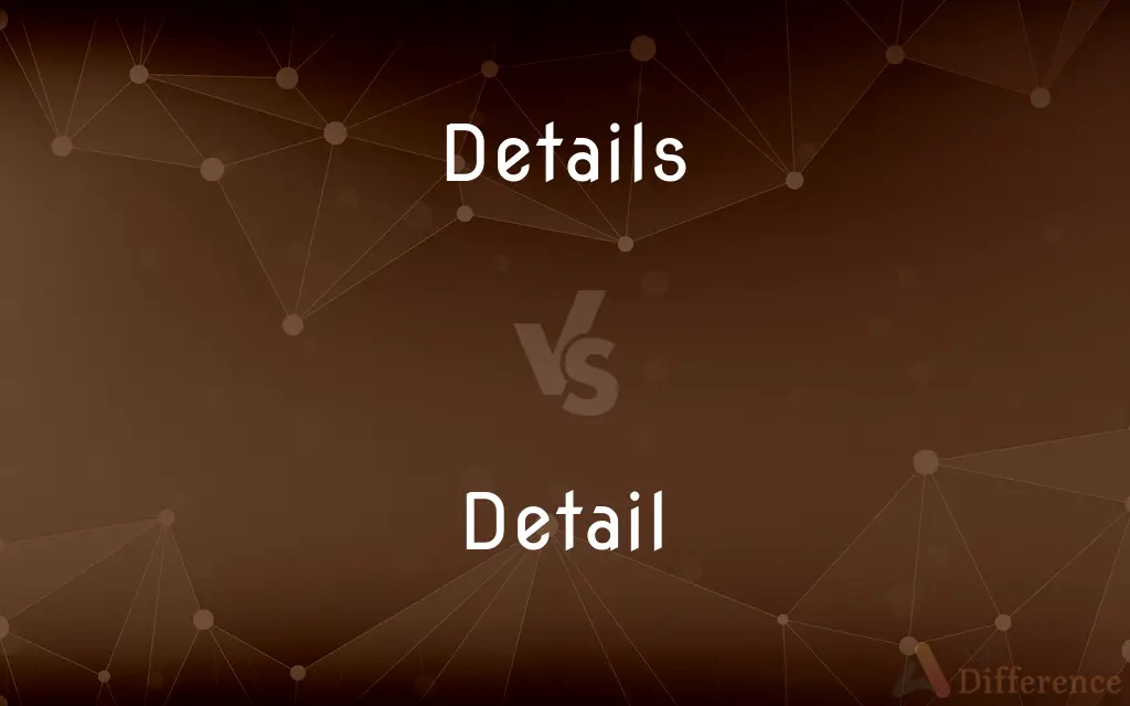 Details vs. Detail — What's the Difference?