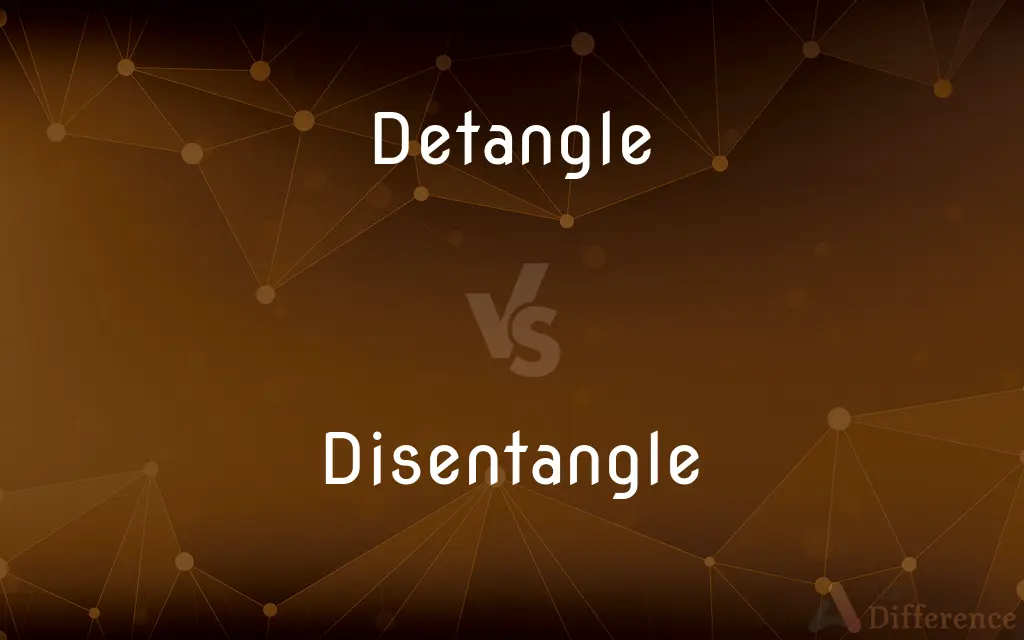 Detangle vs. Disentangle — What's the Difference?