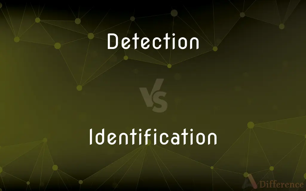 Detection vs. Identification — What's the Difference?