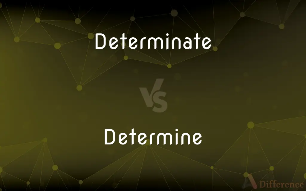 Determinate vs. Determine — What's the Difference?