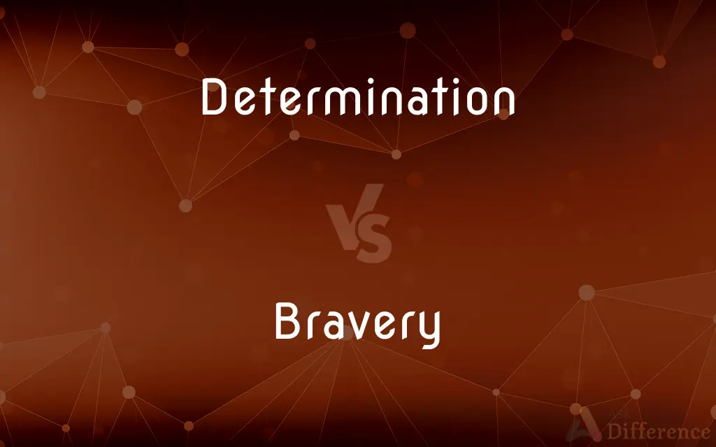Determination vs. Bravery — What's the Difference?