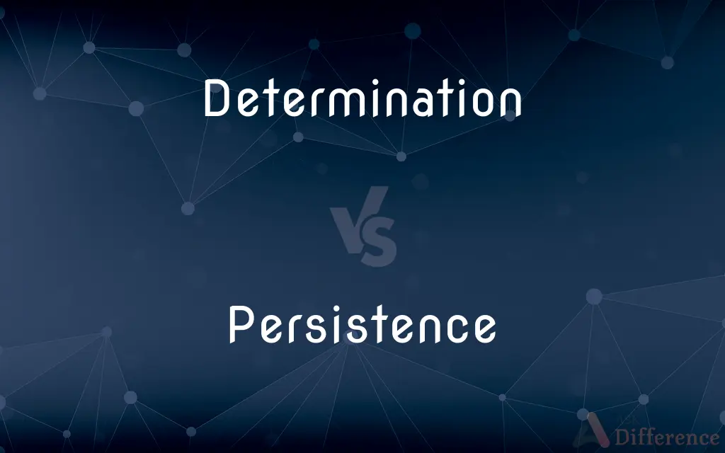 Determination vs. Persistence — What's the Difference?
