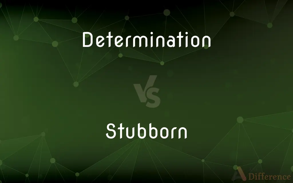 Determination vs. Stubborn — What's the Difference?