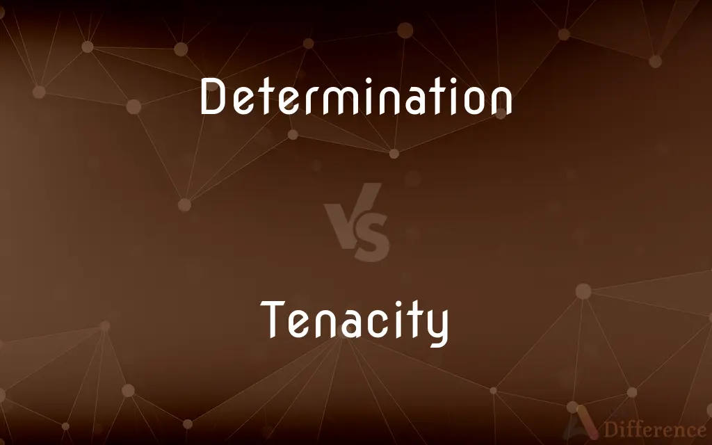 Determination vs. Tenacity — What's the Difference?