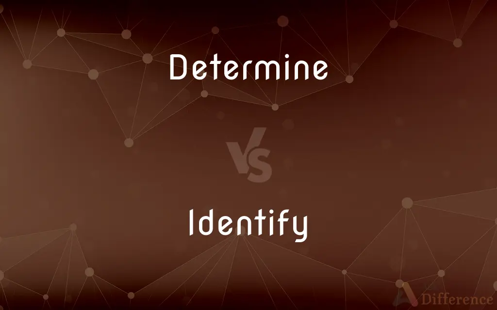 Determine vs. Identify — What's the Difference?