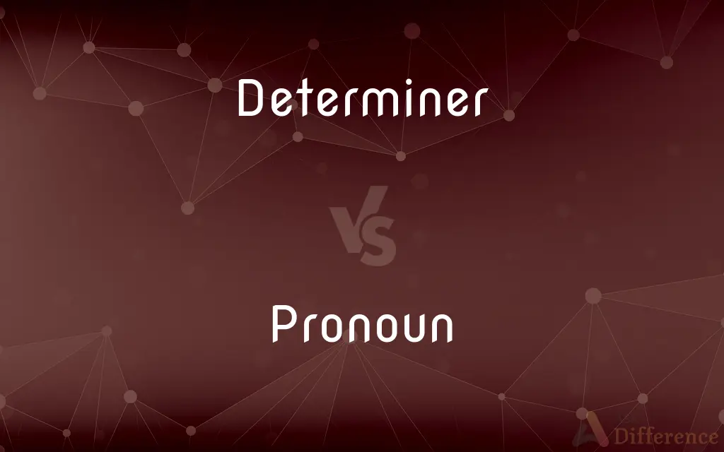 Determiner vs. Pronoun — What's the Difference?