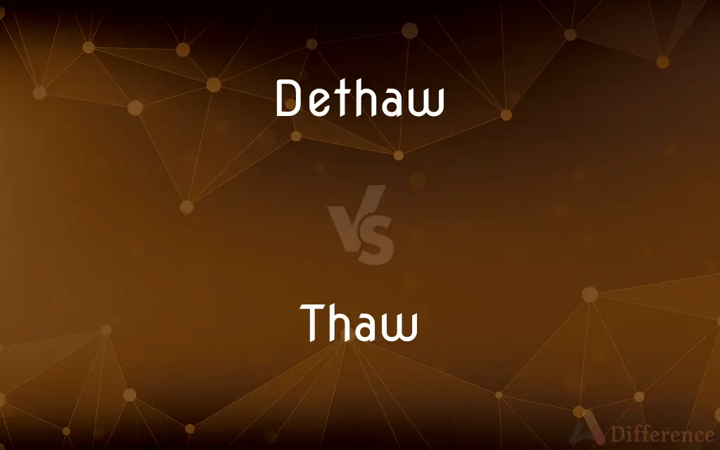 Dethaw vs. Thaw — Which is Correct Spelling?
