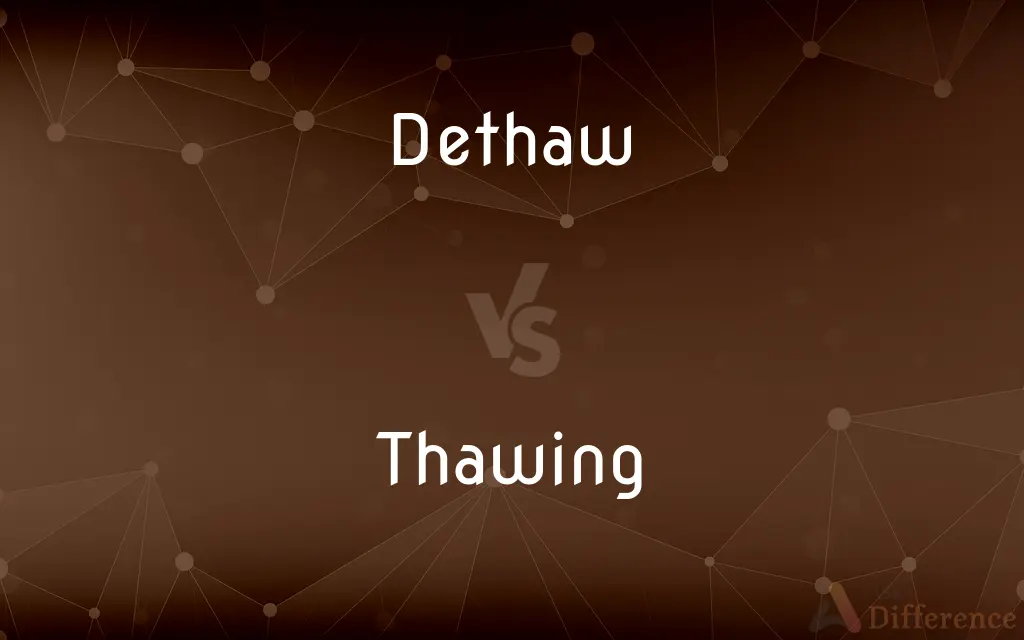 Dethaw vs. Thawing — Which is Correct Spelling?