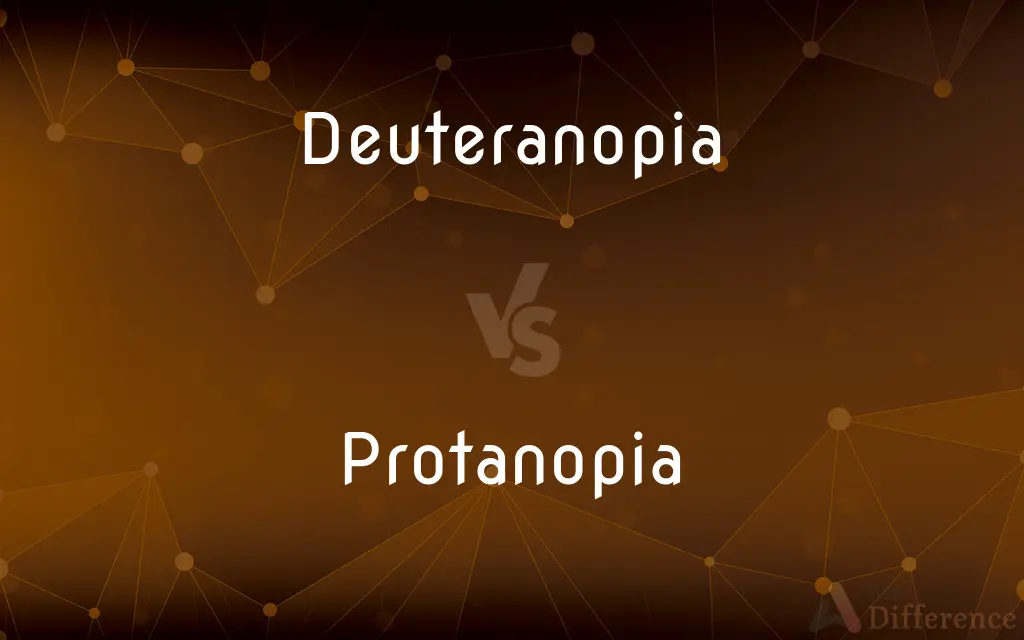 Deuteranopia vs. Protanopia — What's the Difference?