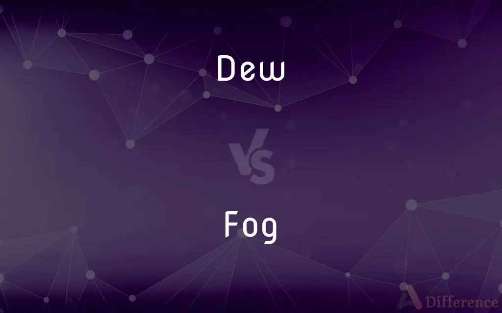 Dew vs. Fog — What's the Difference?