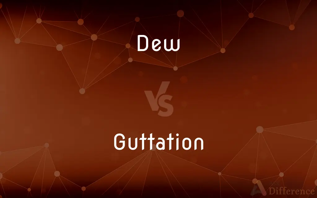 Dew vs. Guttation — What's the Difference?