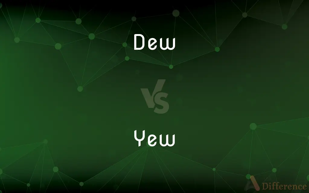 Dew vs. Yew — What's the Difference?