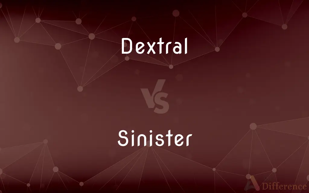 Dextral vs. Sinister — What's the Difference?