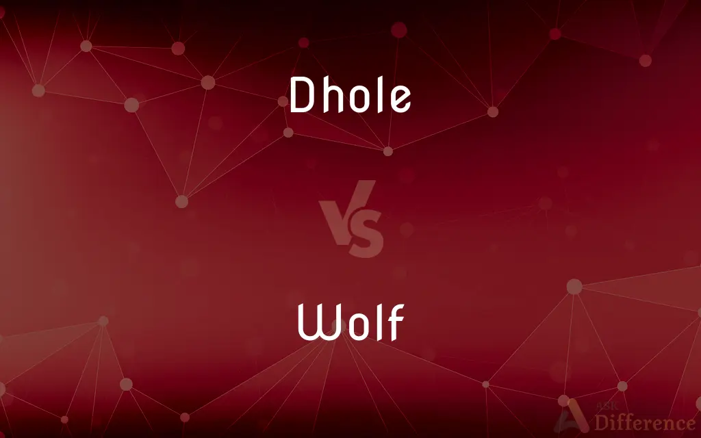 Dhole vs. Wolf — What's the Difference?