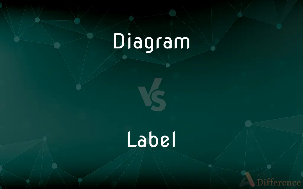 Diagram vs. Label — What's the Difference?